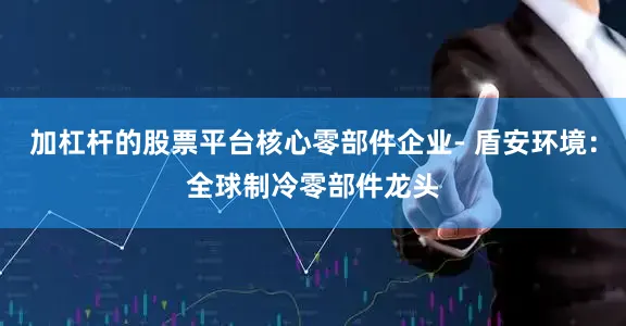 加杠杆的股票平台核心零部件企业- 盾安环境：全球制冷零部件龙头