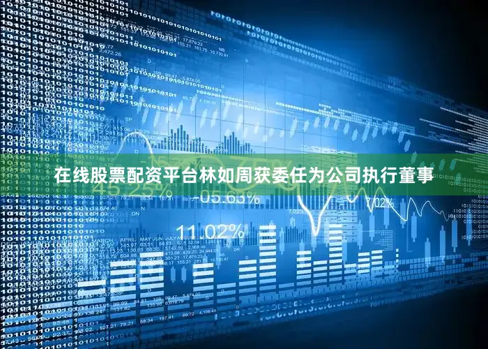 在线股票配资平台林如周获委任为公司执行董事