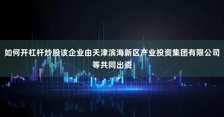如何开杠杆炒股该企业由天津滨海新区产业投资集团有限公司等共同出资