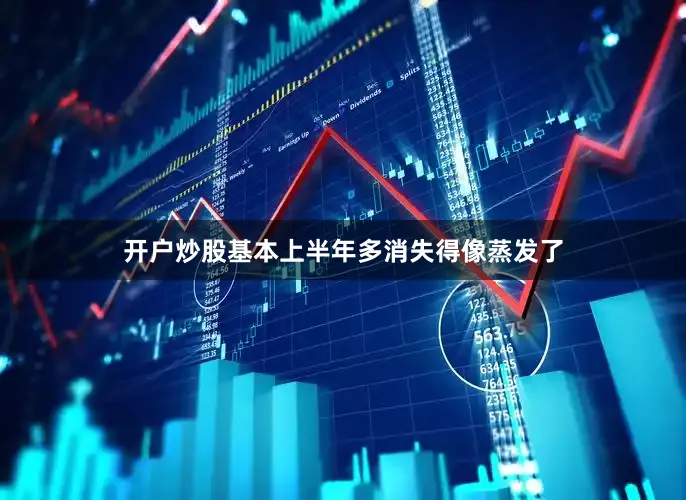 开户炒股基本上半年多消失得像蒸发了